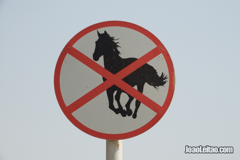 Placa de sinalização rodoviária que impede a entrada de cavalos