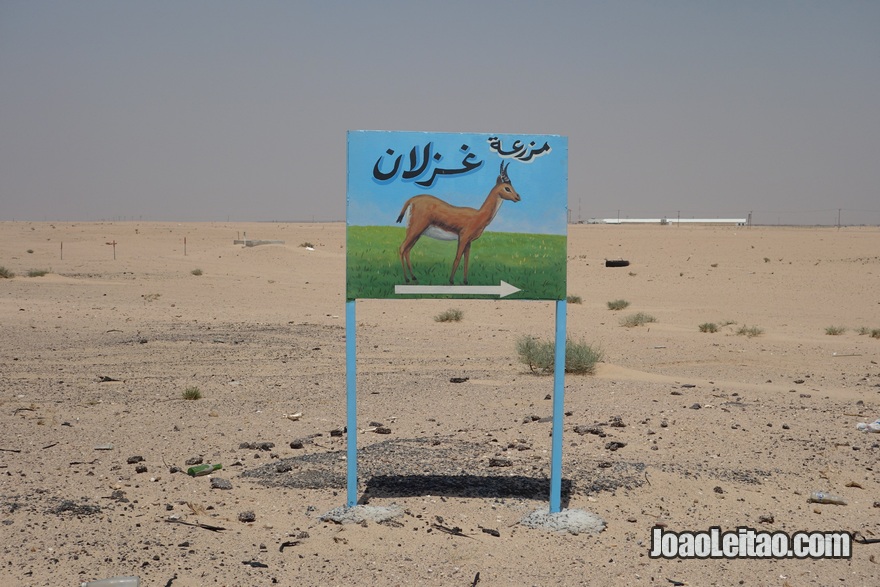 Placa de quinta privada no meio do deserto