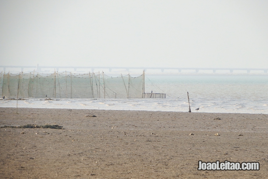 Redes de pesca na foz do rio Eufrates no Kuwait