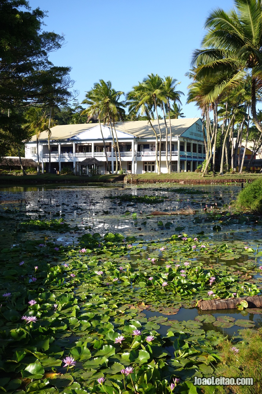 Hostel Arts Village Backpackers em Pacific Harbour nas Ilhas Fiji