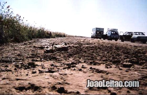 Parque Diawling na Mauritania mesmo na fronteira com o Senegal