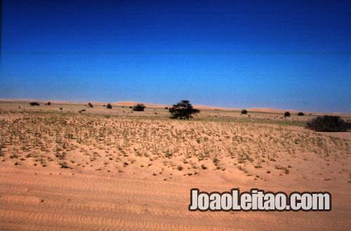 Parque Nacional do Banco de Arguim