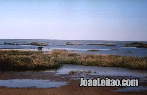 Parque Nacional do Banco de Arguim