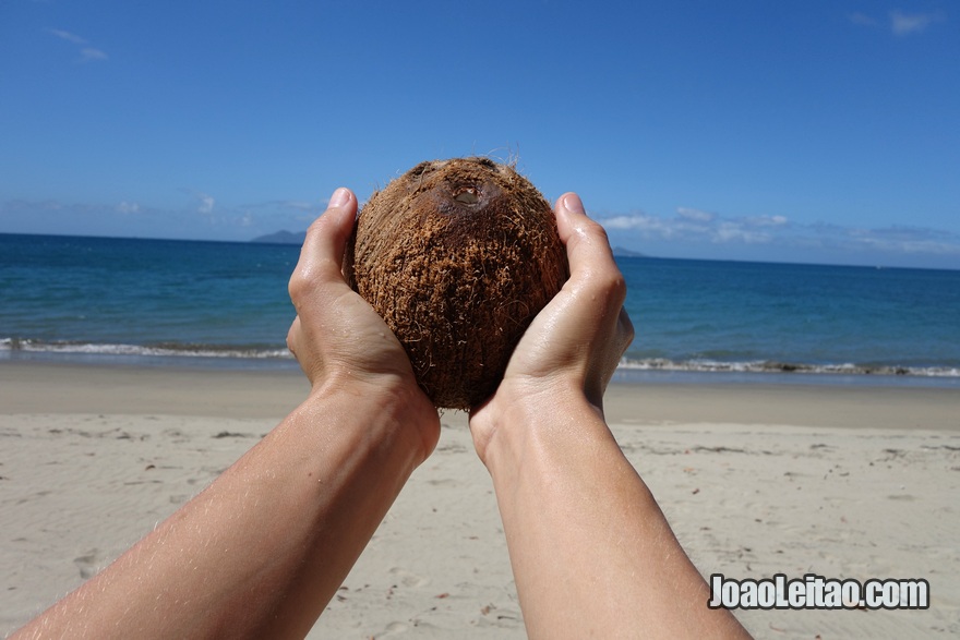 Apanhar cocos na praia