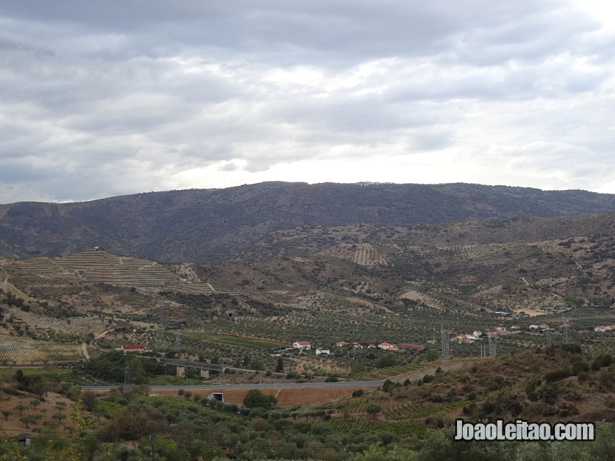 Alto Douro Wine Region