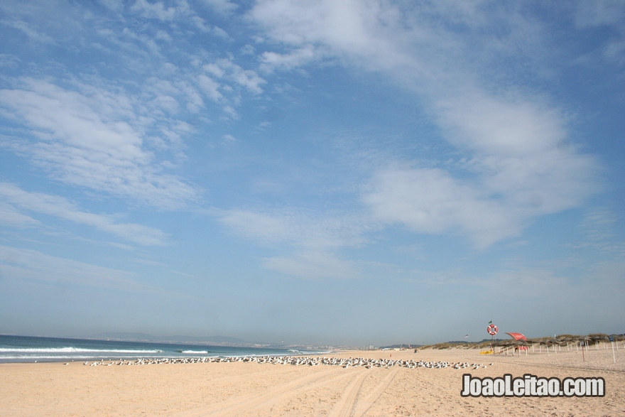 Costa da Caparica