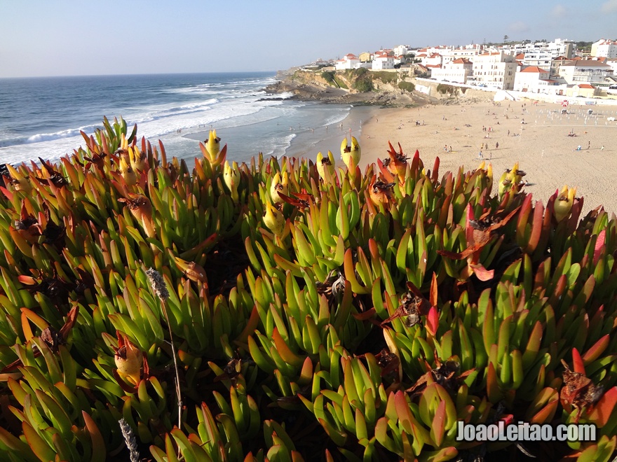 Praia das Maçãs Beach - Praia das Maçãs