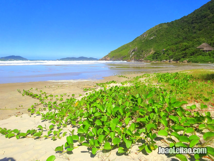 Praia da Solidão