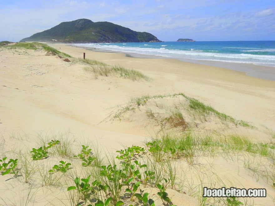 Praia do Santinho