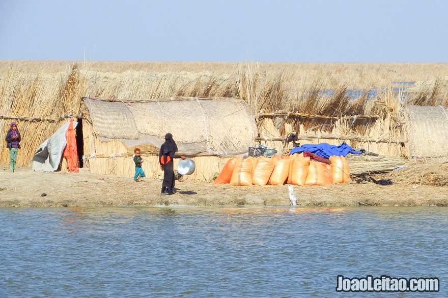 Islet in the marshes of Mesopotamia