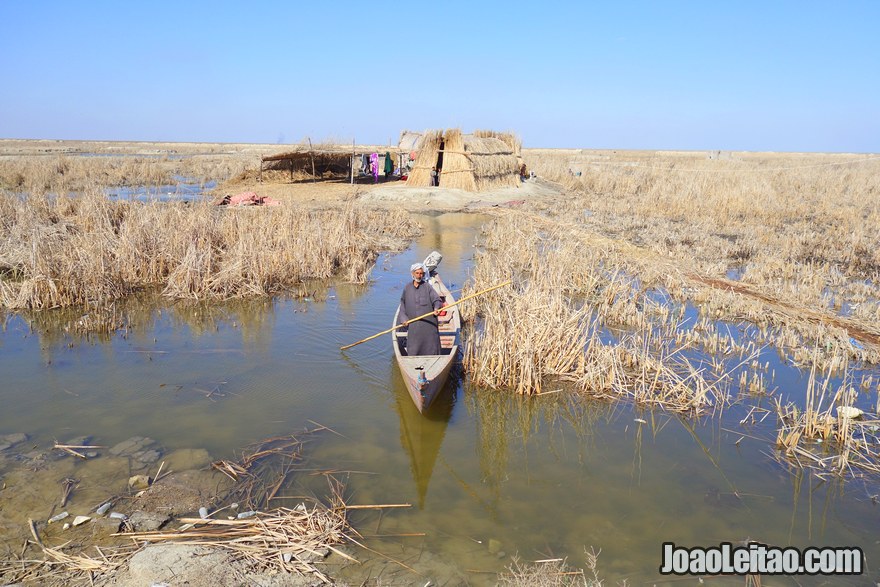 Iraqi Marshes area