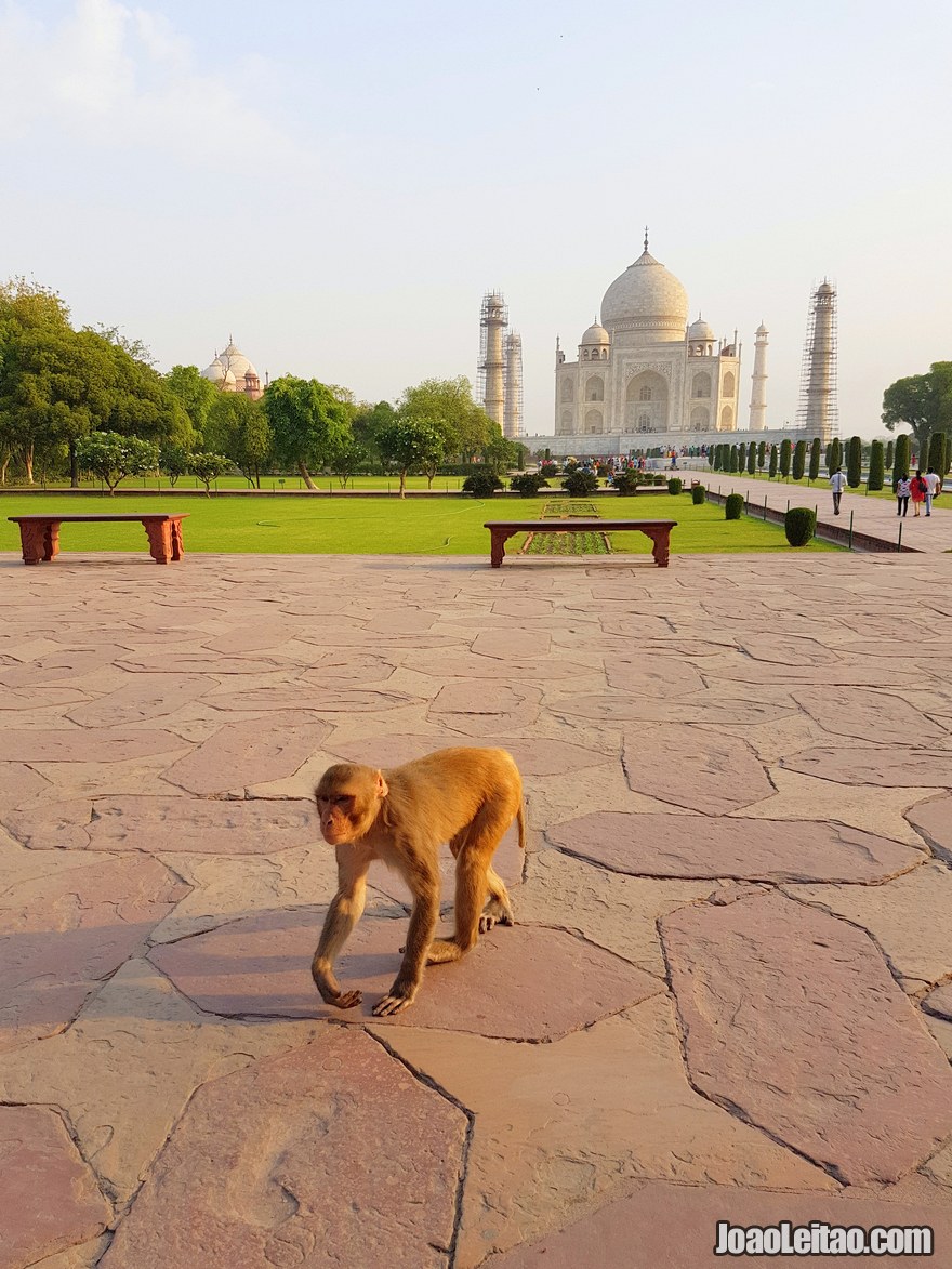 Taj Mahal monumento UNESCO situado na cidade de Agra na Índia