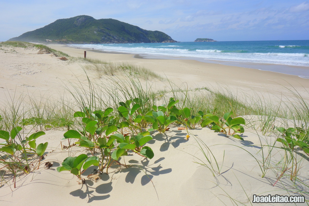 PRAIA PERTO DE FLORIANÓPOLIS