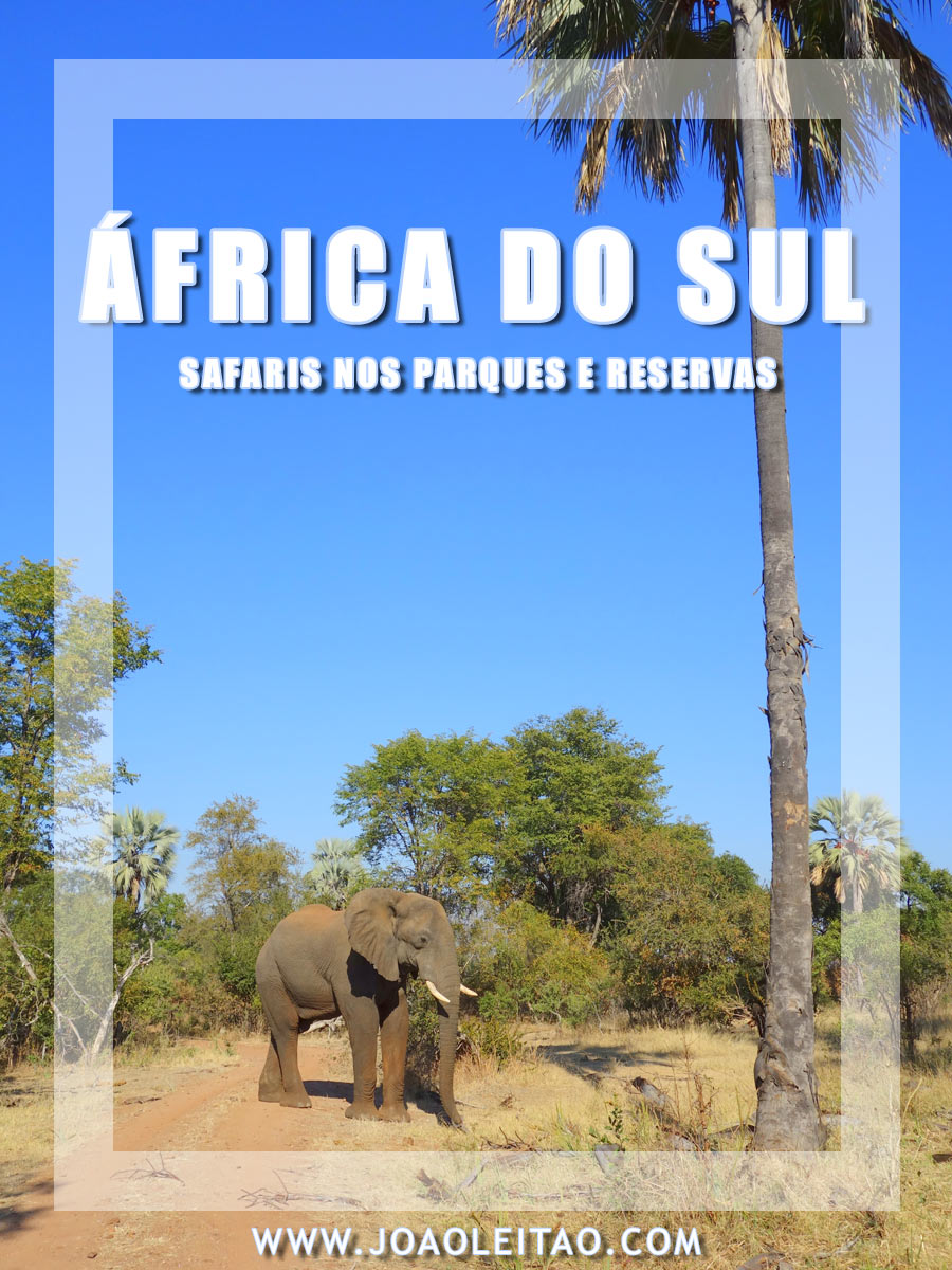 SAFARI ÁFRICA DO SUL