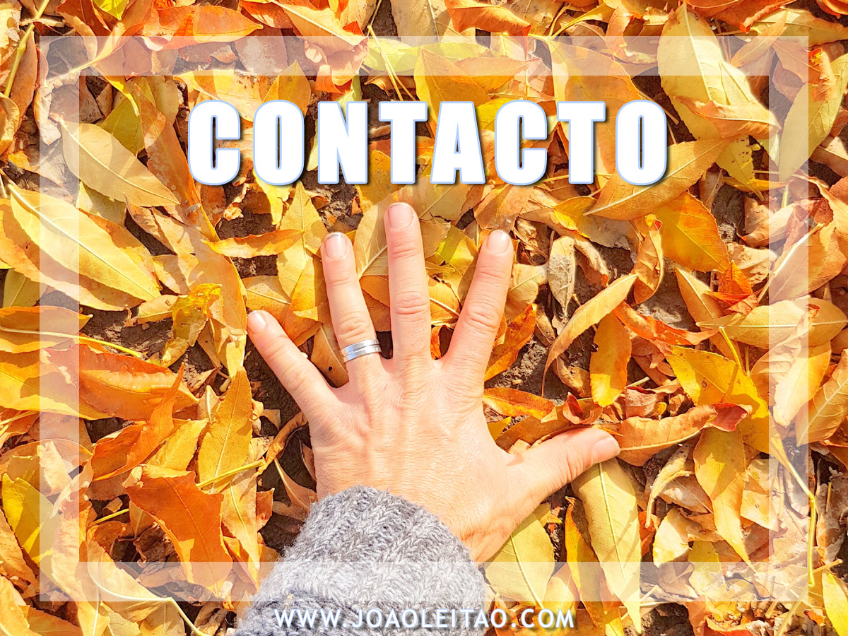 CONTACTO
