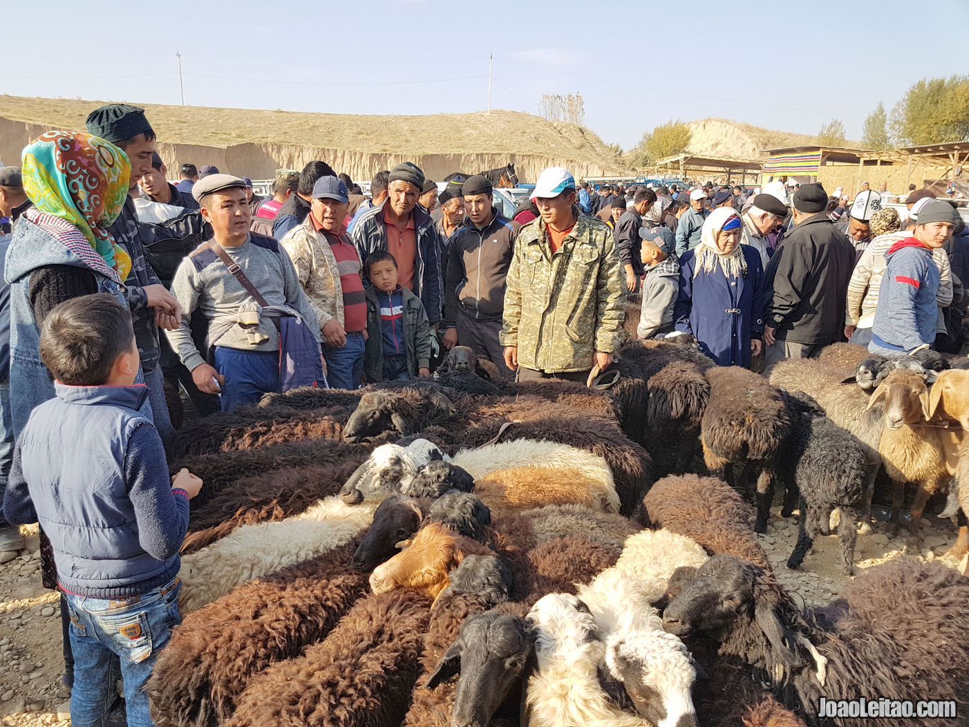 MERCADO DE GADO EM OSH QUIRGUISTAO