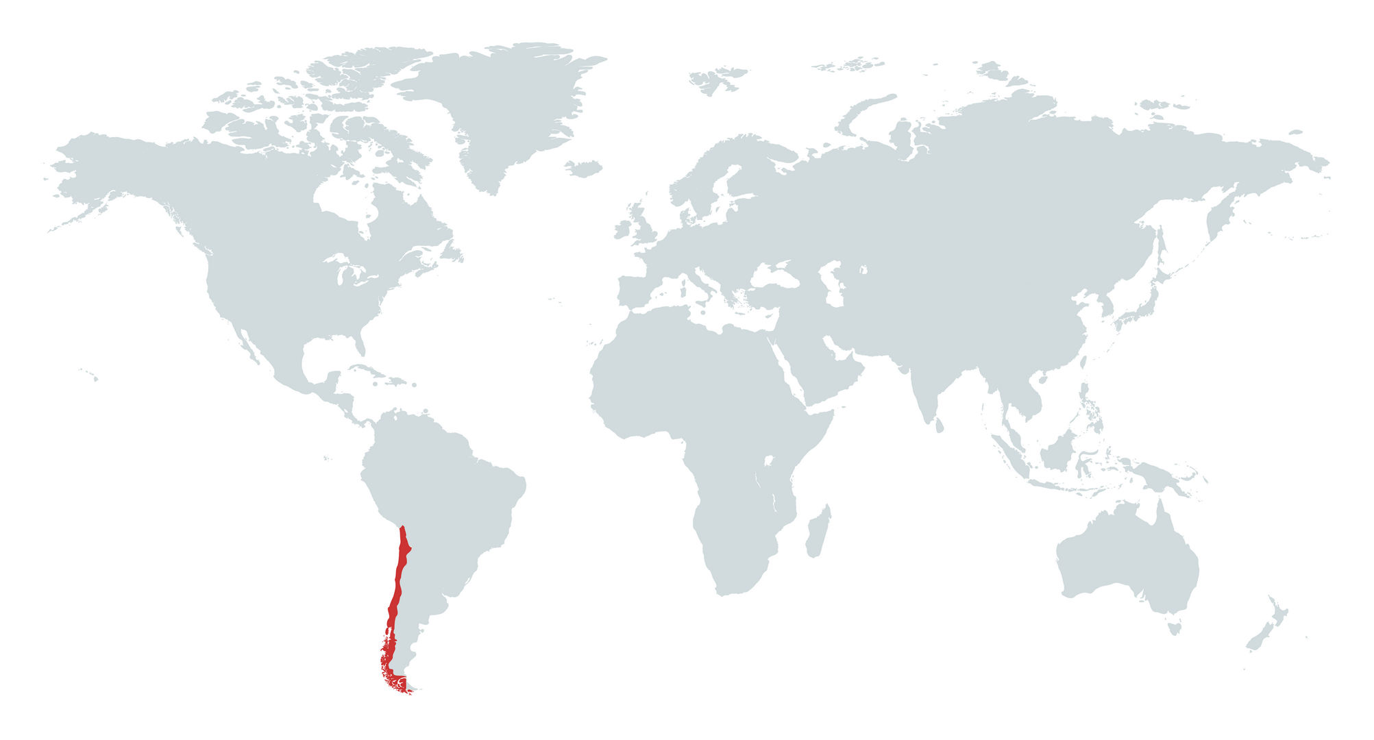 MAPA CHILE