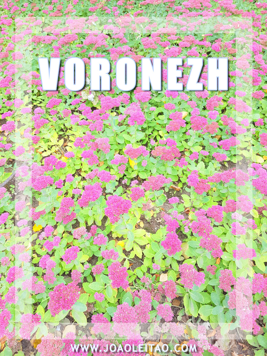 VISITAR VORONEZH