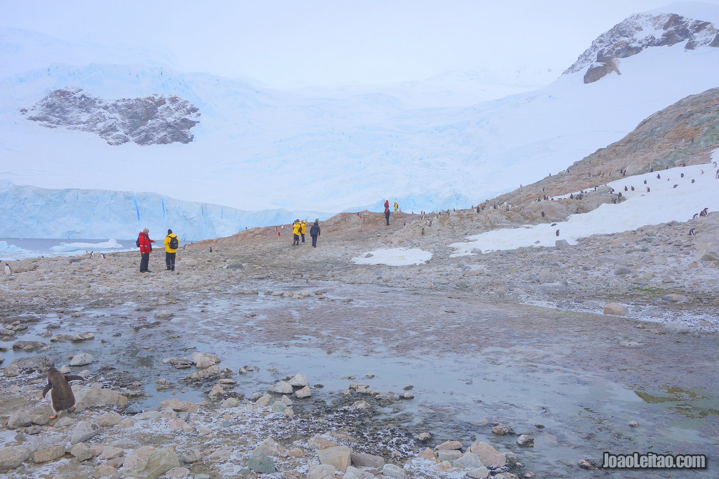 Caminhar num Glaciar na Antártida