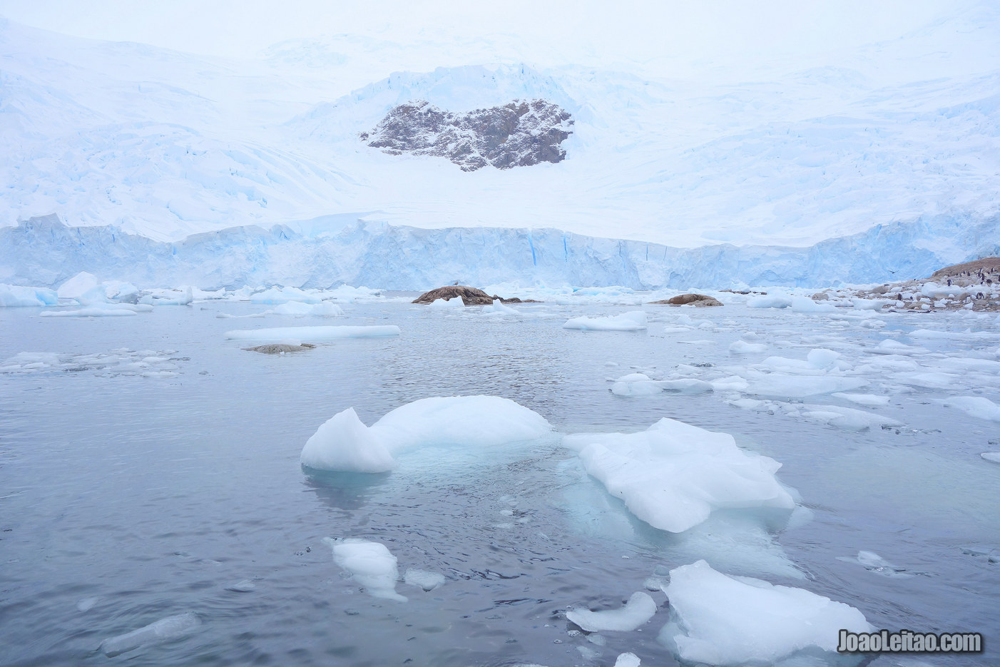 Escutar o Silêncio na Antártida