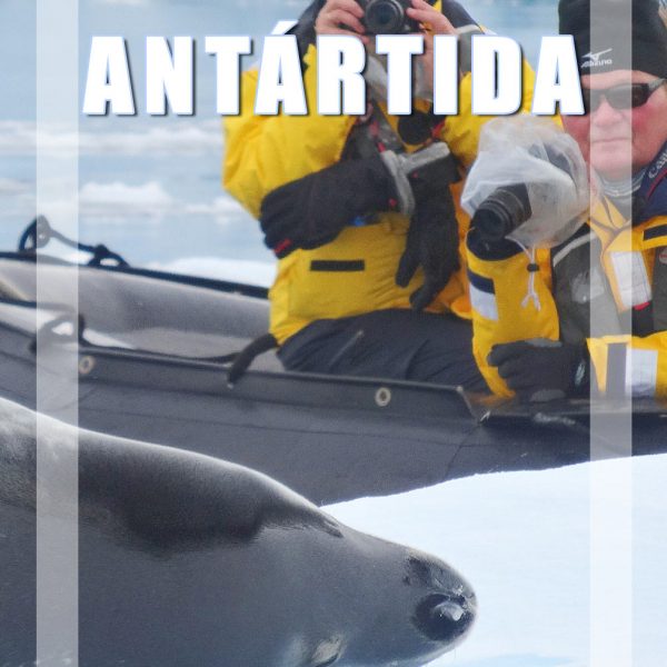 O que fazer na Antártida