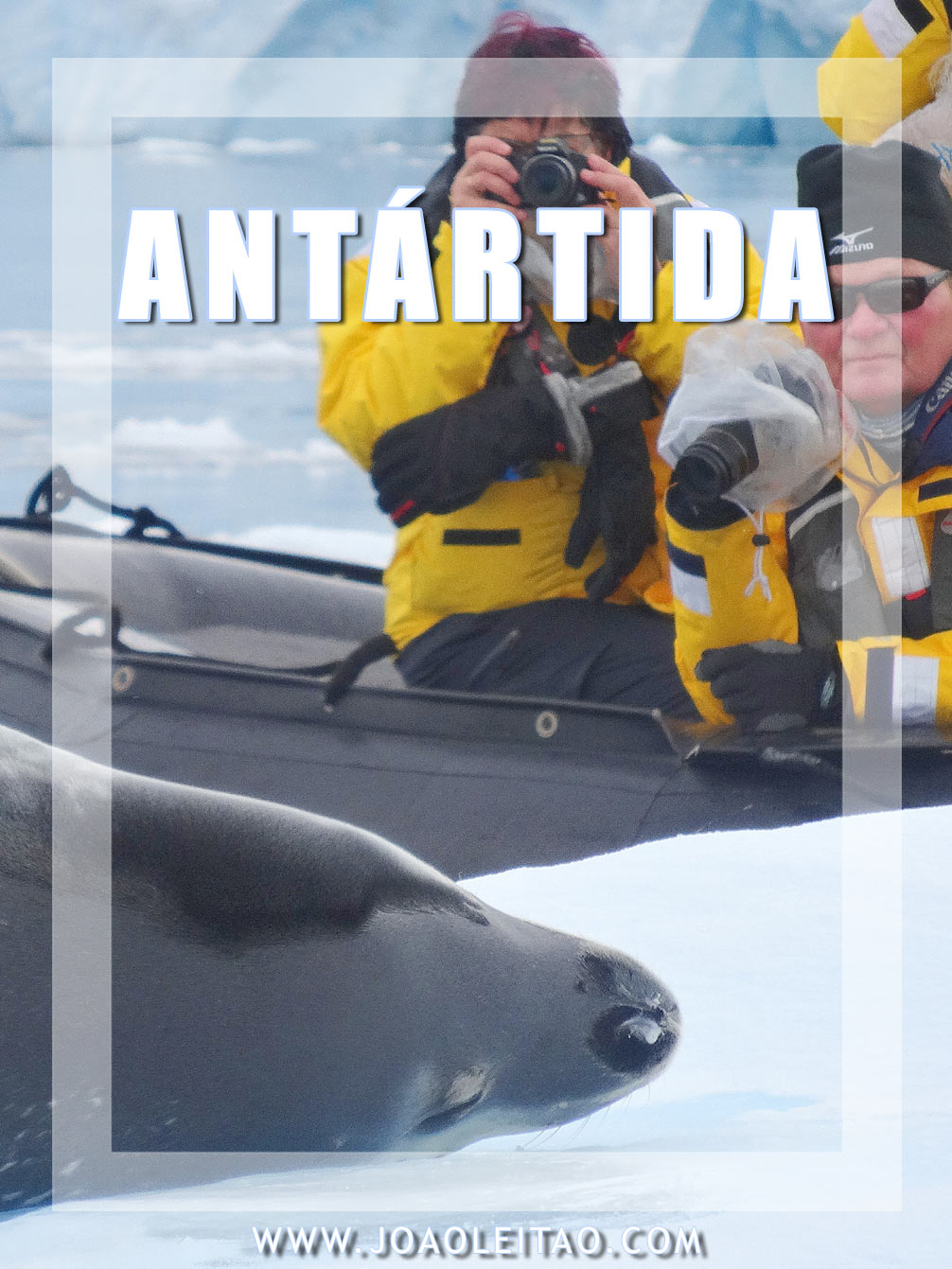O que fazer na Antártida