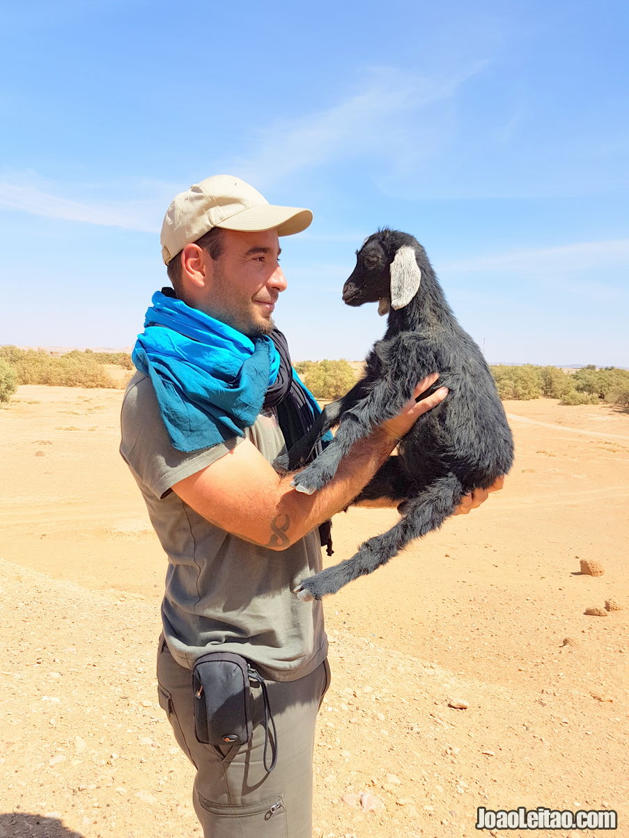 Viajar em Marrocos • Guia de Viagem 4