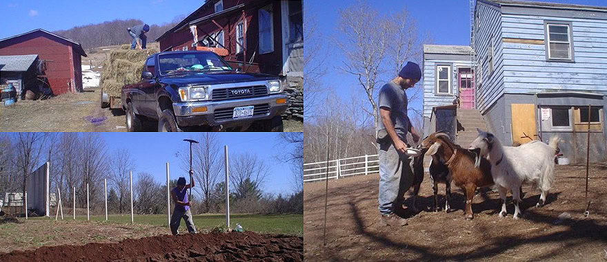 Working on a Farm in up State New York