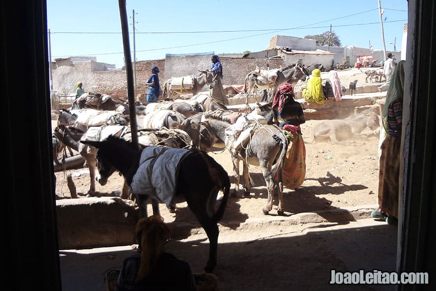 Visitar Harar na Etiopia