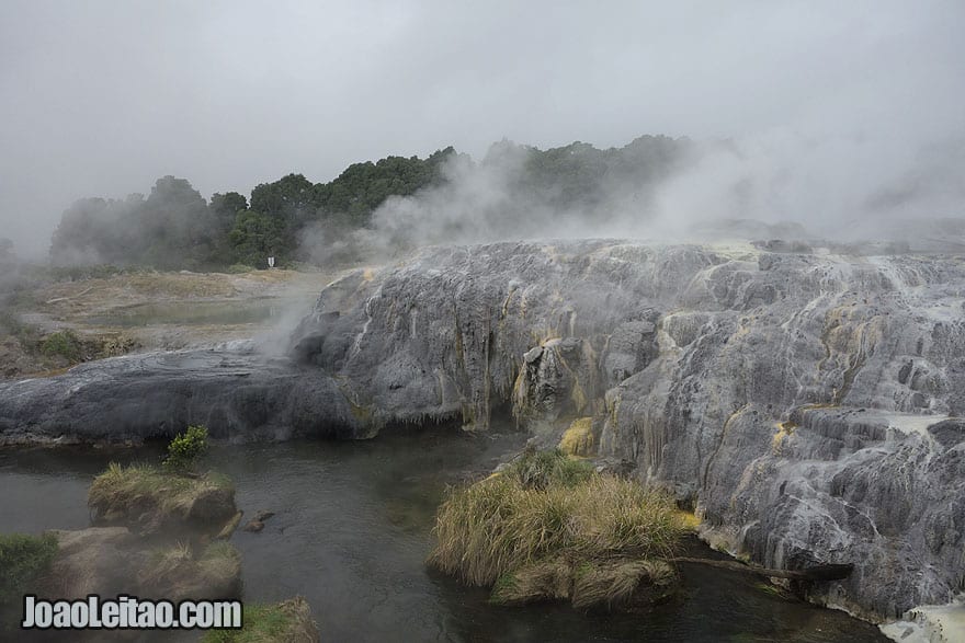 Visit Pohutu Geyser, New Zealand