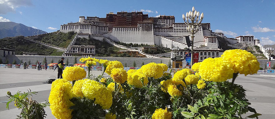 Potala Palace in Lhasa Tibet