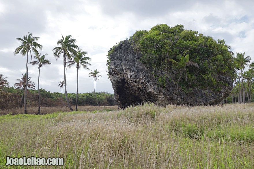 Visit Tsunami Rock Tonga