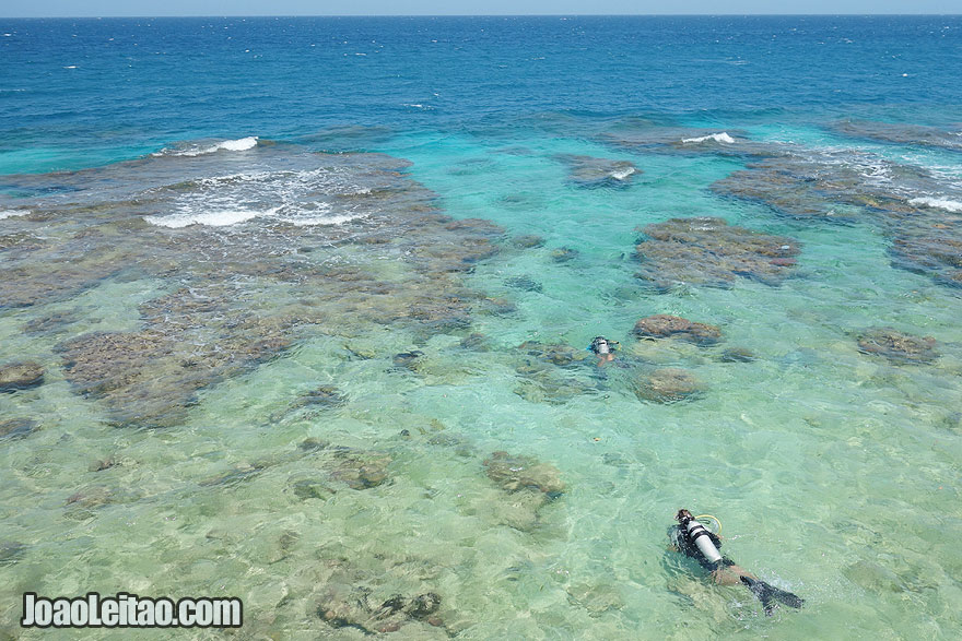 Visit Utila Island Honduras