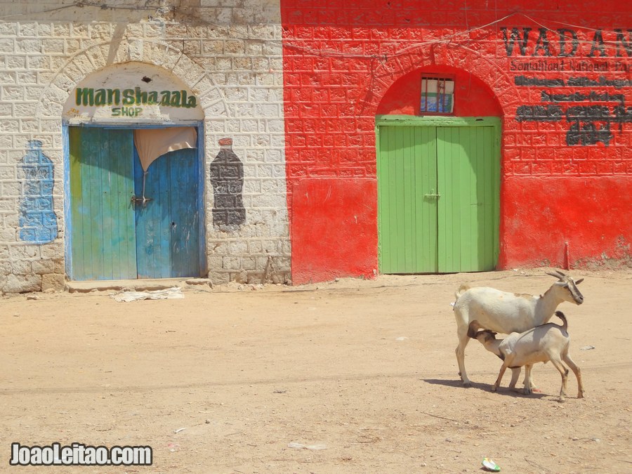 Travel to Berbera in Somaliland