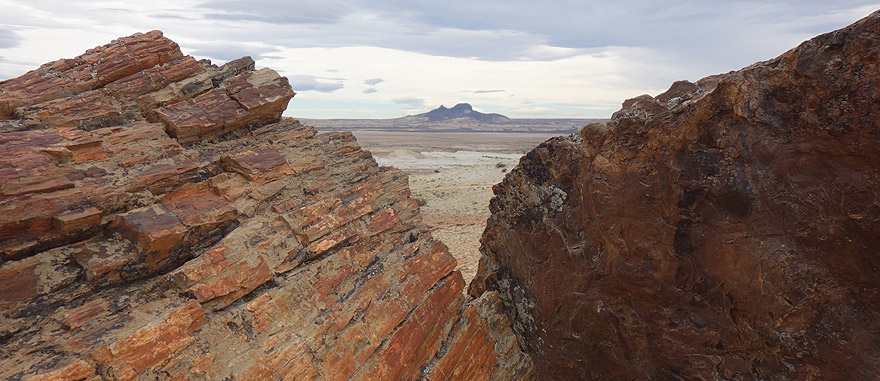 Visit Petrified Forest in Argentina