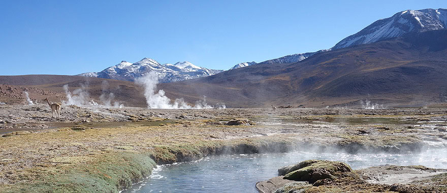 Visit El Tatio Geysers in Chile