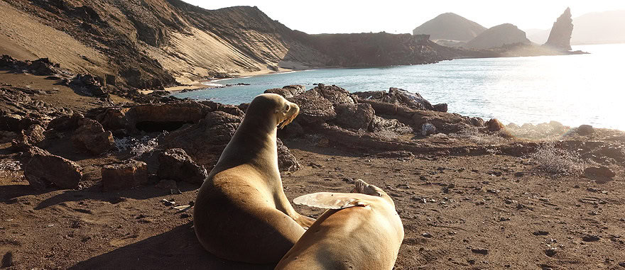 Visit Galapagos in Ecuador South America Travel Guide