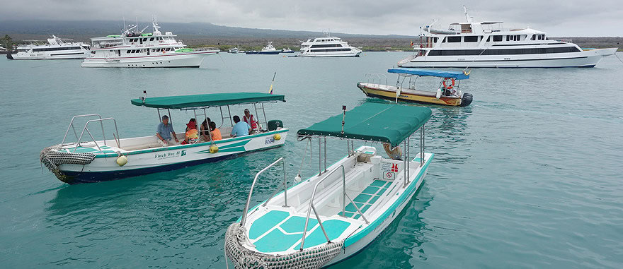 Boats Puerto Ayora Galapagos