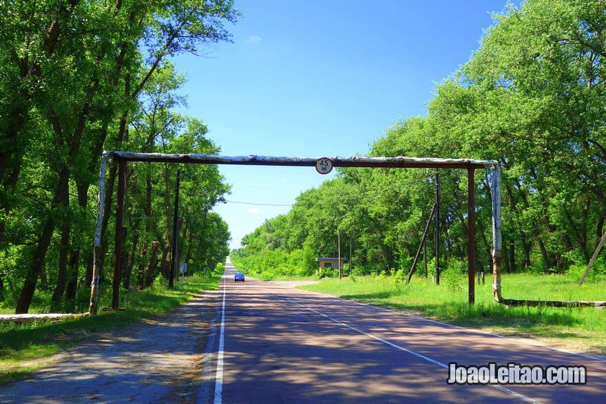 Road in Chernobyl Exclusion Zone