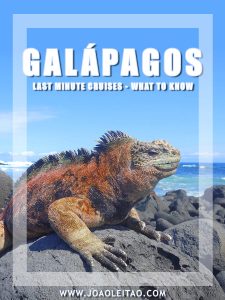 Galapagos Last-Minute Cruises • All you need to know