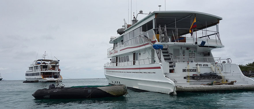 Yachts in Puerto Ayora harbour waiting to sail on a Galapagos cruise