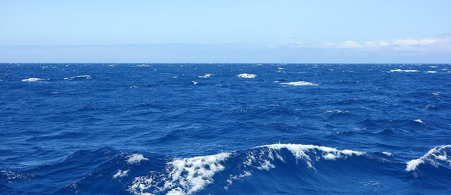 Galapagos Sea Sickness