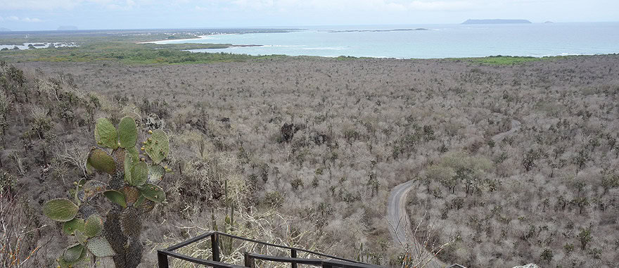 Vista aérea da Ilha Isabela nas Galápagos