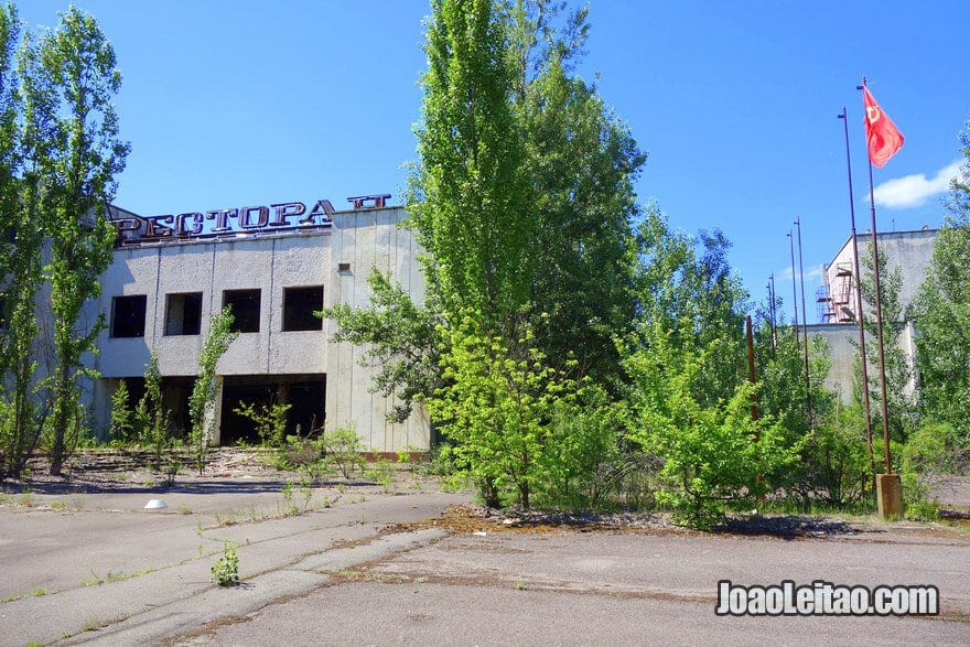 Wildlife Spotting - Chernobyl Tour