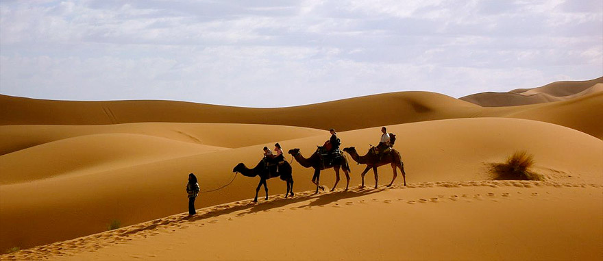 Camel trekking in Merzouga Dunes, Morocco