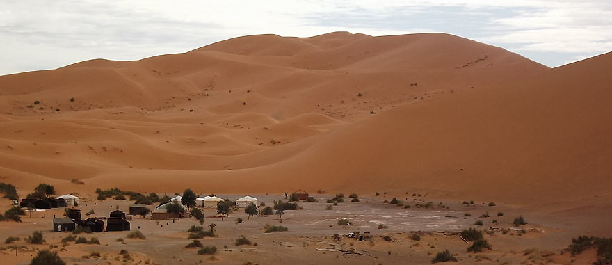 Oasis 2 hours camel ride from the hotel - Mind-blowing Sahara Desert Hotel