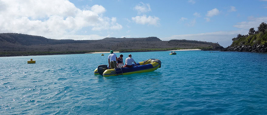 Snorkeling in Santa Fe Island - Galapagos