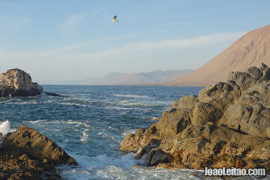 Coast of Atacama Desert Chile