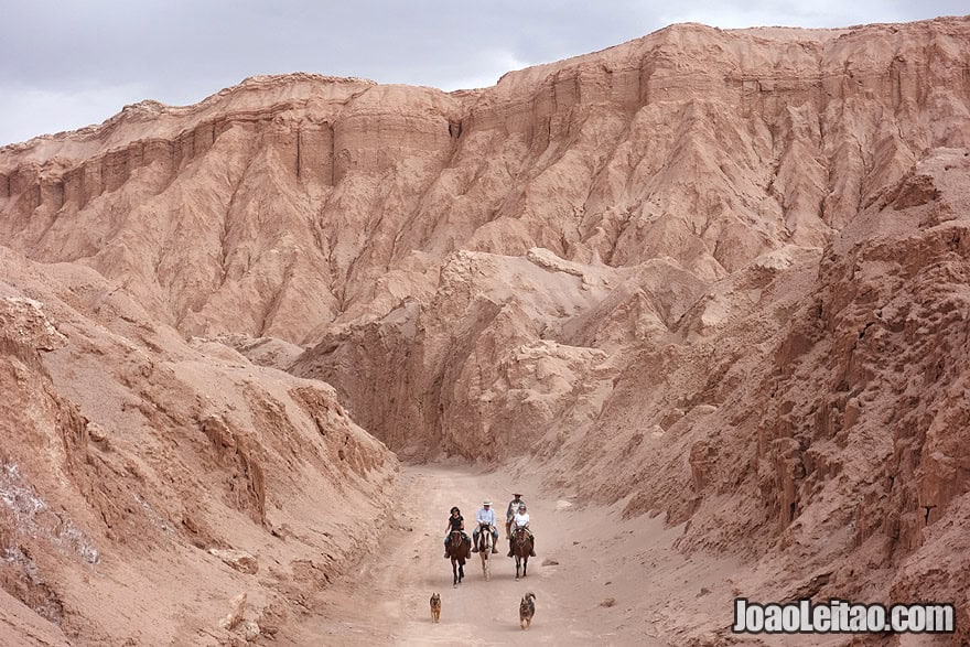 Photo of Horse riding and dogs in the Death Valley of Atacama Desert Chile