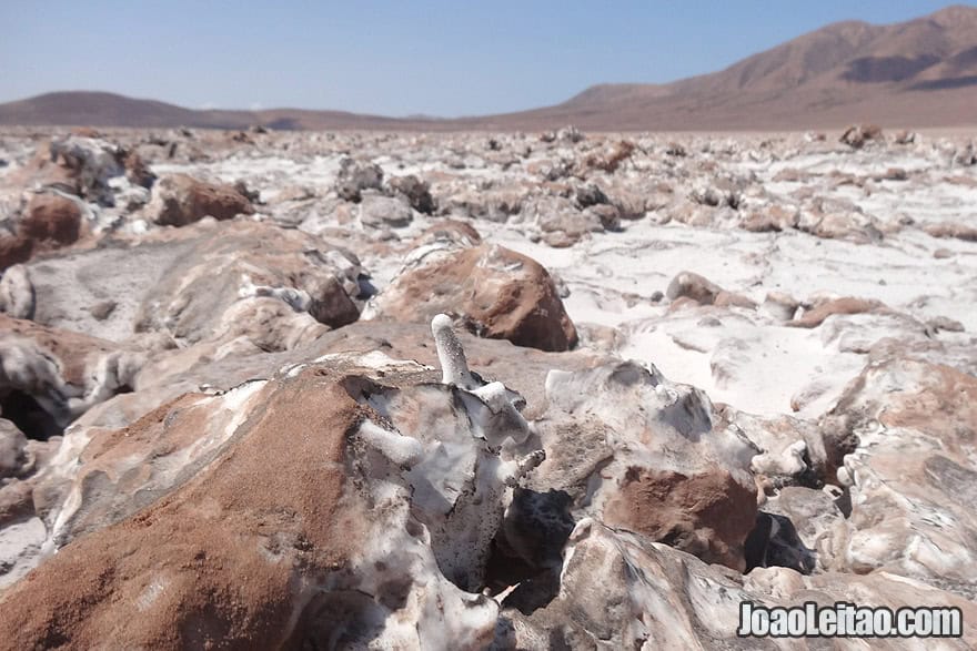 Gran Salar, Atacama Chile